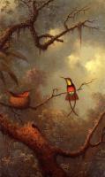 Heade, Martin Johnson - Hummingbirds